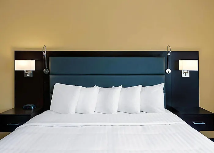 Hotel 1550 - SFO Airport West