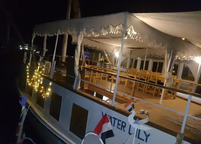 1Water Lily