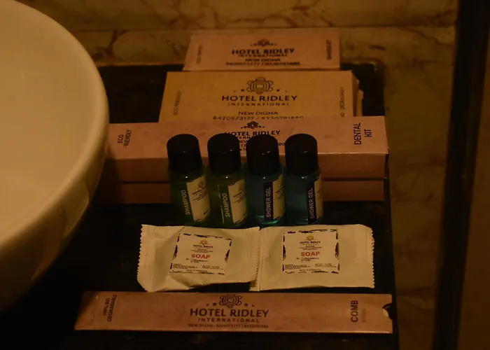 Hotel Ridley International
