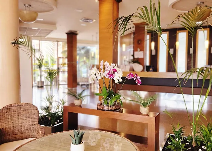 Hotel Monarque Costa Narejos