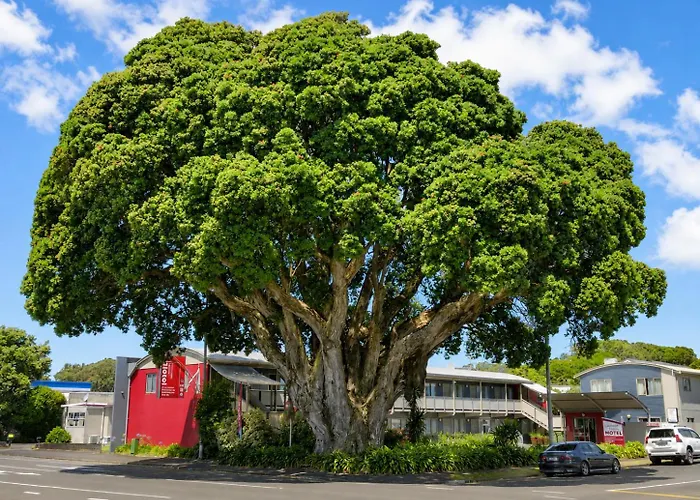 Landmark Manor New Plymouth