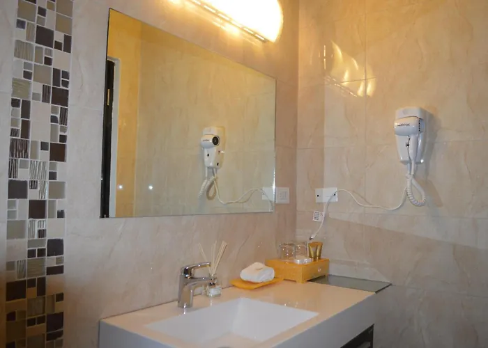 Hotel Crowner David