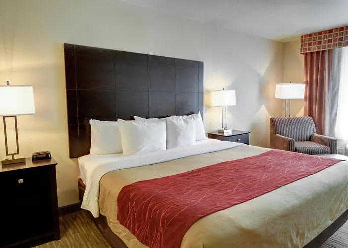 Comfort Inn & Suites Amarillo West Near Medical Center
