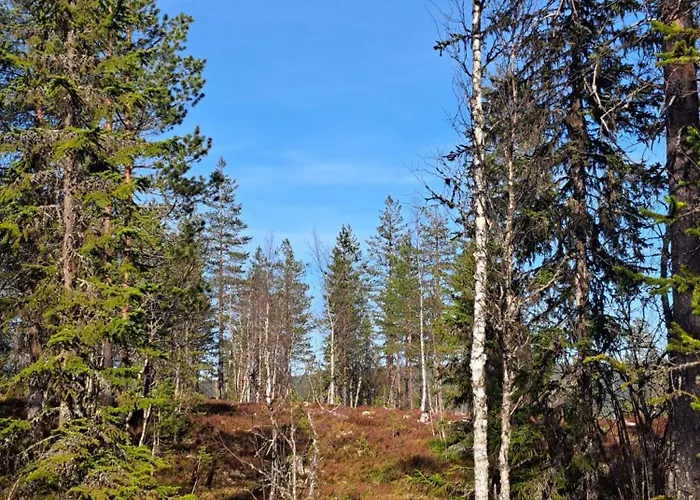 Kjolen Hotel Trysil