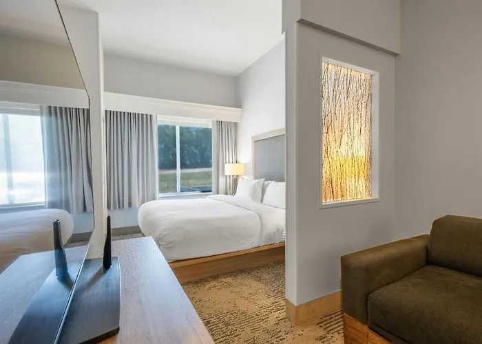 Springhill Suites By Marriott Atlanta Kennesaw