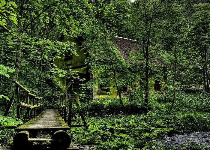 Wildkräuter-Gasthof Linde Löffingen
