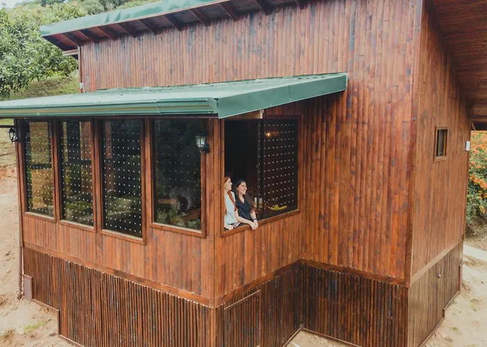 Lauraceas Lodge