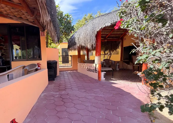 Bungalows Cabo Pulmo