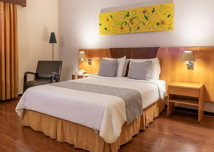 Dexter Hotel - Volta Redonda By Castelo Itaipava