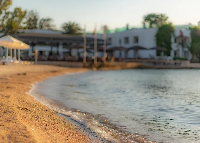Samara Hotel Bodrum Ultra All Inclusive