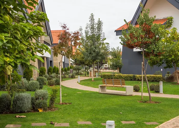 Zephyr Ifrane