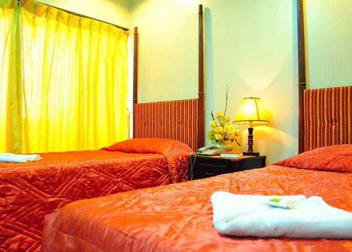 Oyo 679 Ddd Habitat Pension House