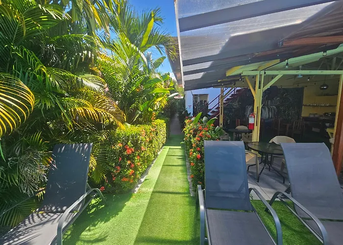 Ballena Rey Hotel
