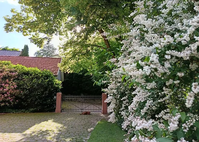 Bed & Breakfast Gruenes Gold Am Leisberg