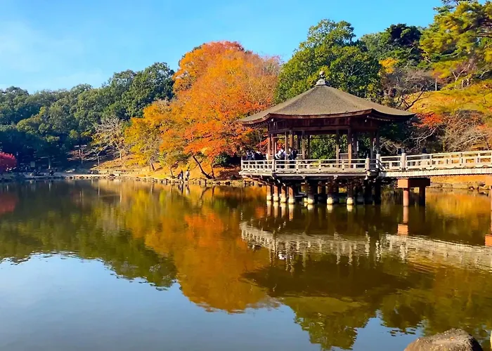 奈良旅館別館 Sweet 螢 源