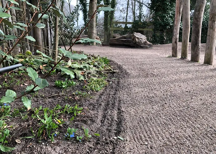 Ouder-kind B&B Droomzacht - Natuurkamer