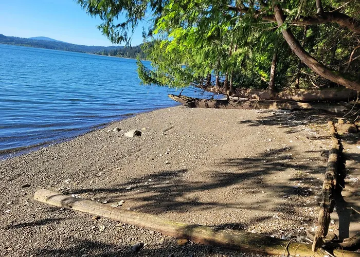 Moss Haven On Hood Canal