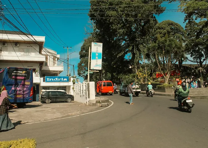 Hotel Indria