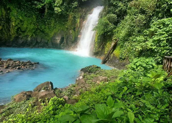 Auralta Rio Celeste I Elohi Collection