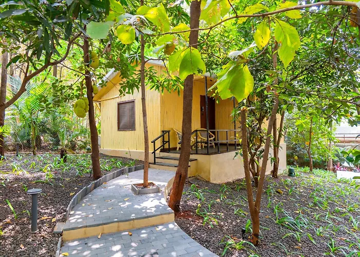 Alaya Stays Timber Pet-Friendly Premium Bamboo Cottages
