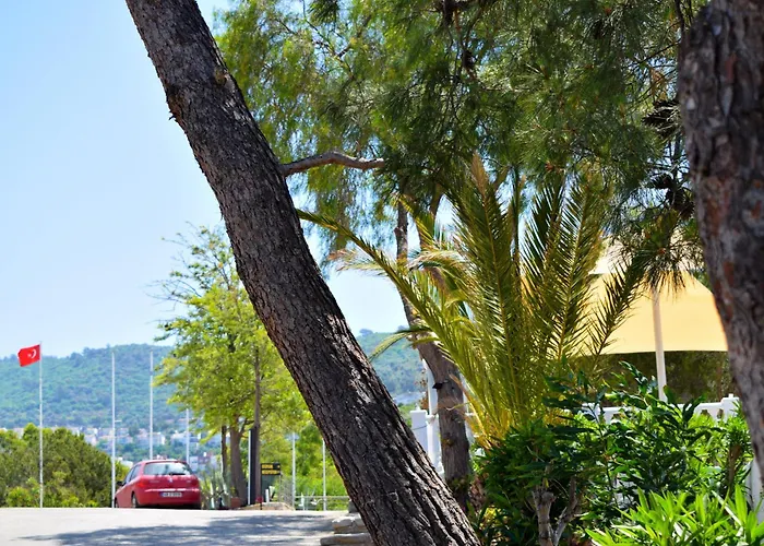 Roseira Beach Resort