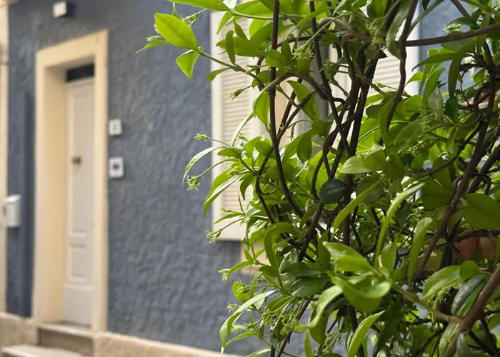 Azul Rooms & Suites