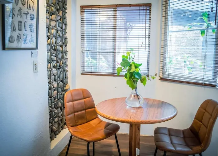 Stylish Apartment Upscale Chapultepec District