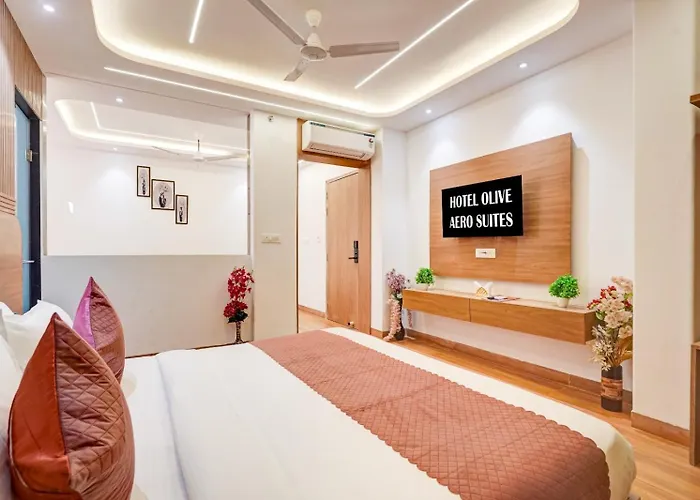 Sky Nest Plaza Inns Near Delhi International Airport