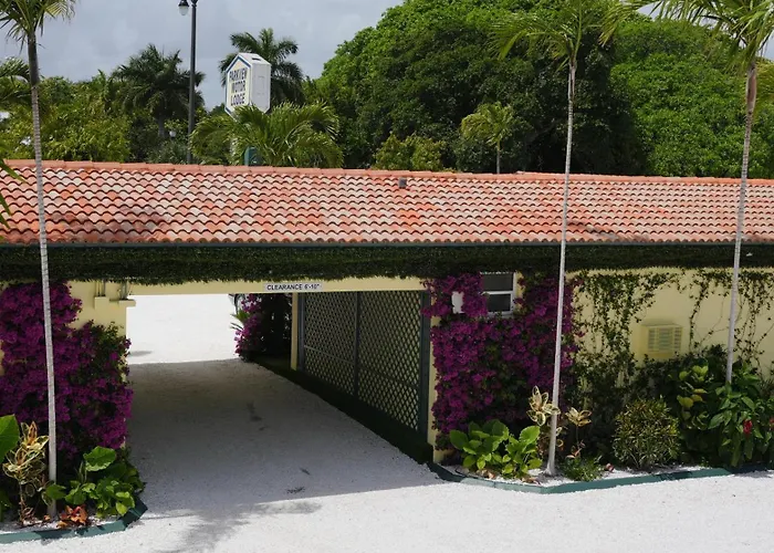 The Palm Rose