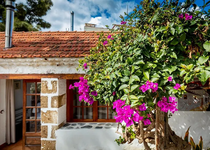 Hotel Emblematico Duque De La Torre