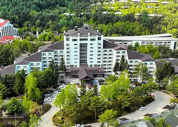 Mona Yongpyong Hotel