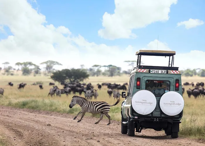 Melia Serengeti Lodge Member Of Melia Collection