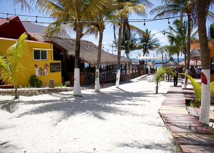 The Diving Lodge Downtown