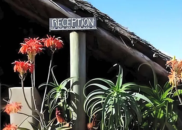 Swell Eco Lodge