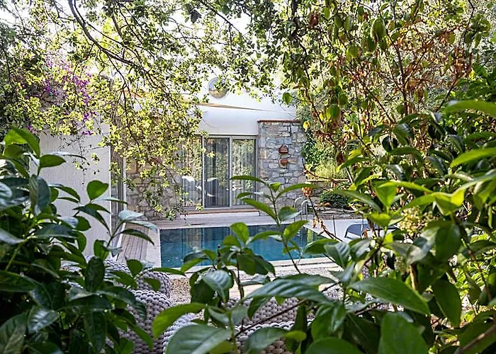 Odette Bodrum