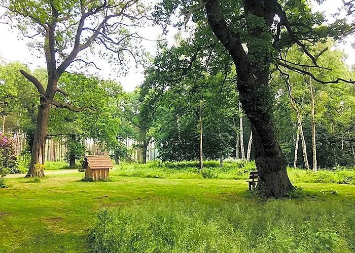 Hollicarrs - Long Lane Lodge