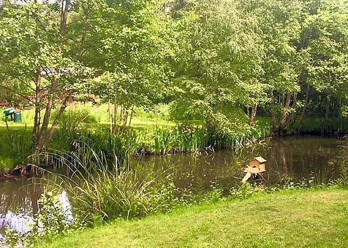 Hollicarrs - Pinewood Lodge