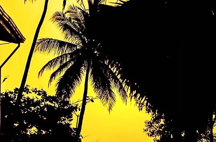 Akki'S Hostel