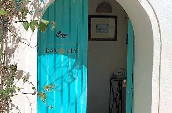 Dar Lily