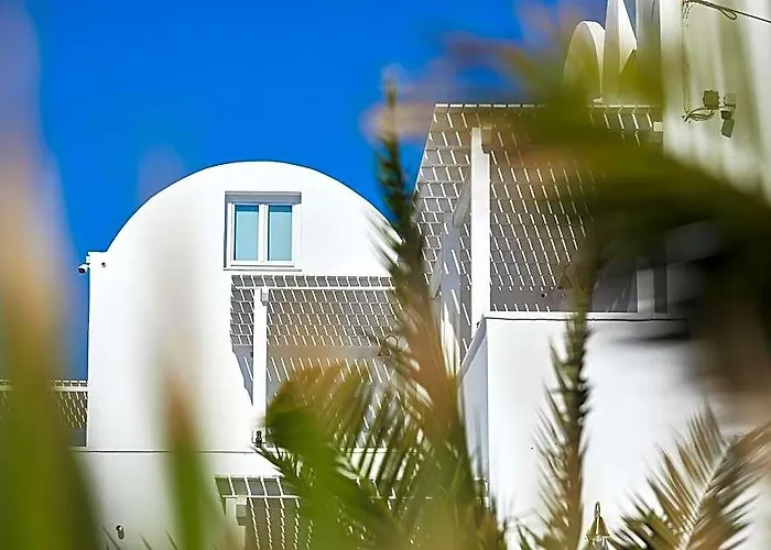 Petri Suites