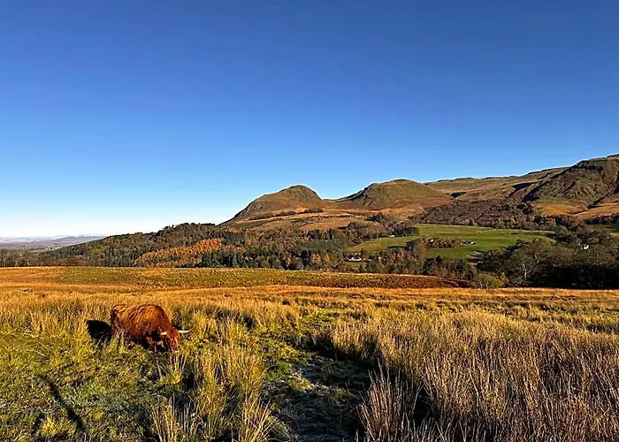 The West Highland Way Hotel And Campground Rooms And Pitches