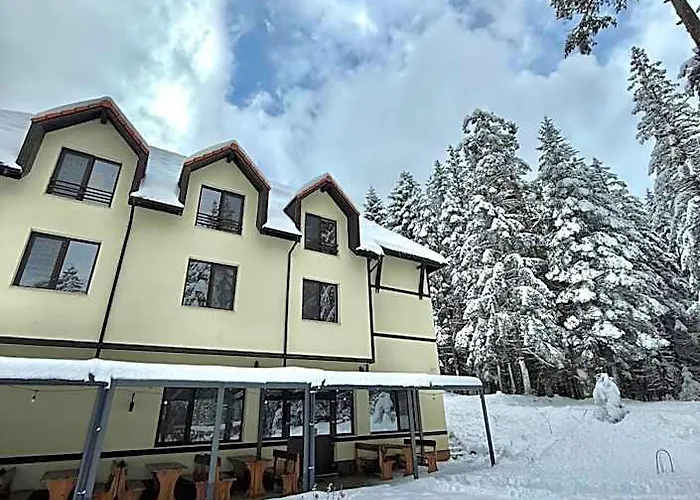 Berghof Eva - Hotel