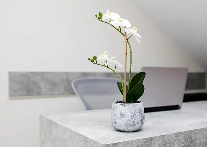 Gmare Studios And Apartments