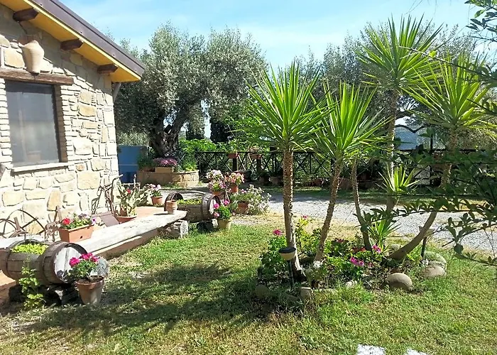Agriturismo L'Uliveto