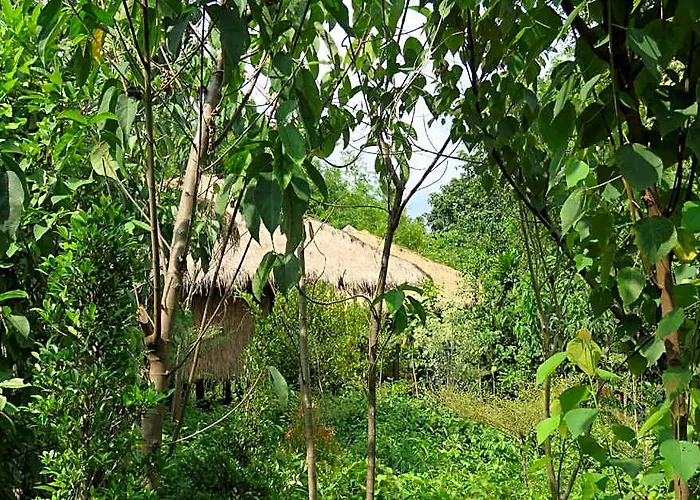Rainbow Lodge Tatai