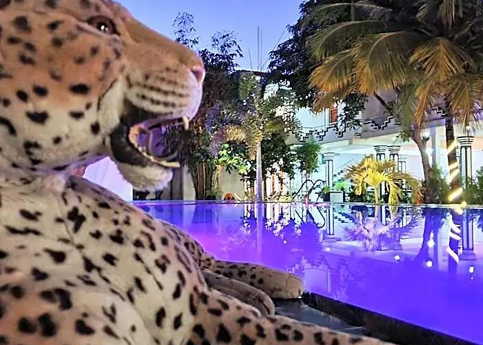 Peacock Reach Hotel