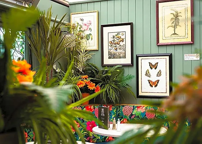 The Palm