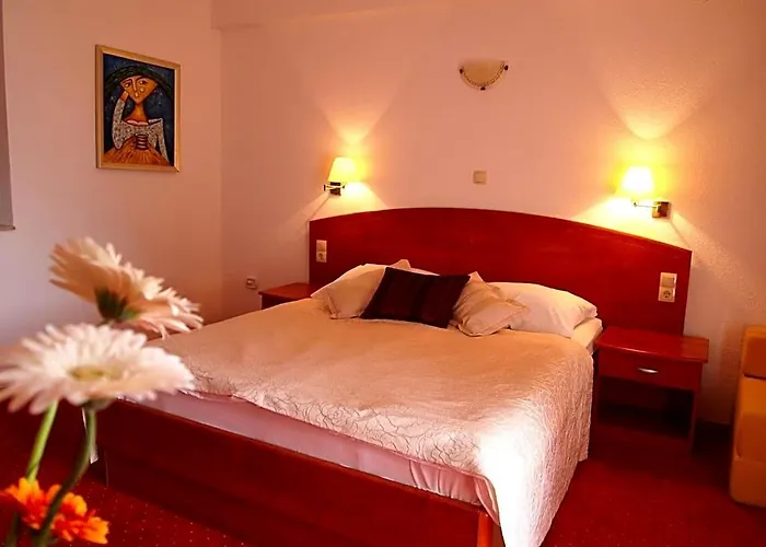 Hotel Villa Barbat