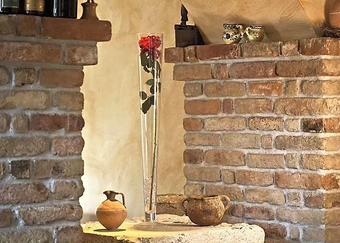 Hotel Villa Barbat