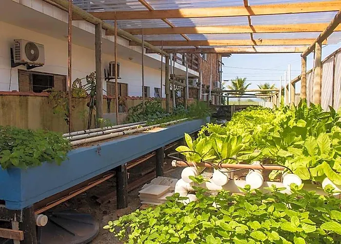 Toya Hotel